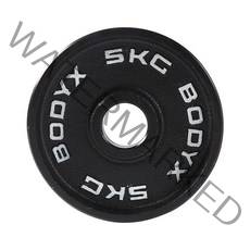 바디엑스 [낱개] 케이언 중량원판 5kg 홀 50mm 주물 아이언, 없음