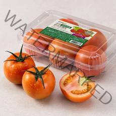 곰곰 자일리톨 완숙토마토, 1kg, 1팩