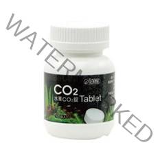 이스타 CO2발생 타블렛정, 100개