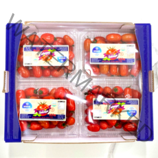 [토망고] 스테비아 방울토마토 500g * 4(2kg), 1, [토망고] 방울토마토 500g * 4개