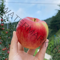 [추석선물] 22년 햇사과 지리산 함양 꿀 사과 홍로 사과선물세트 4kg, 옵션3) 22년 햇사과 4kg 대과 (14-16과)