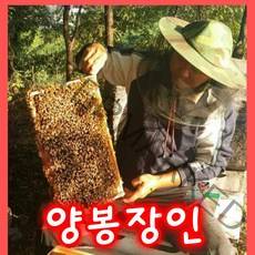 성도벌꿀 100% 국내산 프리미엄 천연생꿀 벚꽃꿀 피나무꿀 감로꿀 밤꿀 2.4kg, 천연잡화꿀 2.4kg