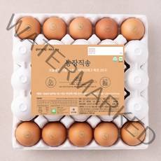오늘낳은 농장직송 가농 비타민에그 1+ 등급 특란 25구, 1500g, 1개