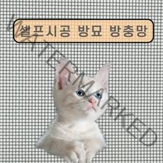 고양이 방충망 방묘창 셀프시공