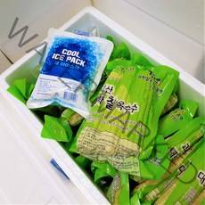 [부자밥상] 괴산 대학찰옥수수 삶은대학찰 냉동 발송중, 냉동 대학찰옥수수, 15개