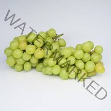포도 아이보리 애플청포도 씨없는포도 2kg 3kg, 애플 청포도 2kg (80988)