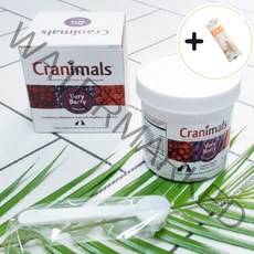 썬데이펫 강아지 백내장 영양제 노견 눈 건강 약 루테인 노령견 눈병 애견 눈물 자국 항산화제 유루증 보조제