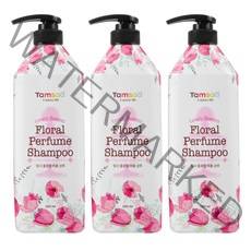 탐사 플로랄 퍼퓸 샴푸, 605ml, 3개