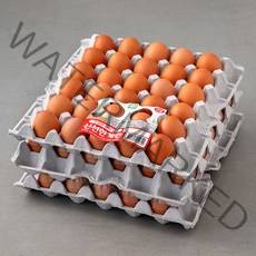 무항생제 인증 건강한 닭이 낳은 신선한 계란 대란 90구, 4680g, 1개