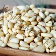 수입잣 백잣 2021햇잣 가평잣 햇잣(신선배송), 1팩, 500g