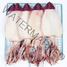 더줌 AAA등급 특 대(LLL)사이즈 최상급 한치 250g ~ 1kg, 한치10미(500g)