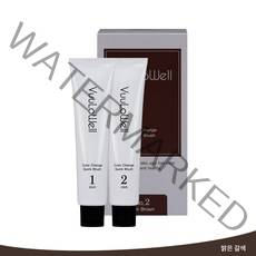 1분 셀프 새치 염색 뷰로웰 퀵 염색약 (전체 염색 갈색)