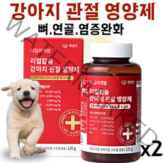 강아지 관절 영양제 뼈 연골 염증완화 슬개골 탈구 단백 보스웰리아 글루코사민 칼슘 MSM 데일리 케얼 관절 영양제 펫생각, 2통 (4개월)