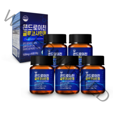 웰리즈 관절엔 콘드로이친 글루코사민정 500mg x 60정 1박스, 5개(10개월분) 300정 22%추가할인