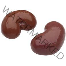 돌핀양갈비 양콩팥 뉴질랜드산 최고급 내장류+소스4종, 1kg