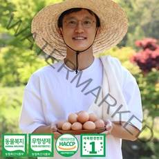 1번 계란 방목 자연방사 유정란 동물복지 무항생제 자유방목 사육환경번호1번 달걀, 40구, 2160g이상