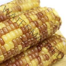 진생마트 쫀득쫀득 찰옥수수 벌크 홍찰 20개