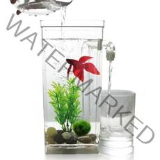 물멍 자동 청소 어항 금붕어 구피 해수어 베타 키우기