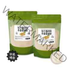 순수 100% 인도 보스웰리아 추출 분말 가루 효능 500g 1+1