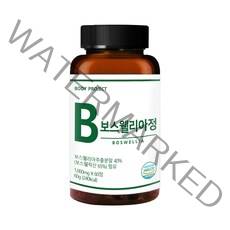 바디프로젝트 프리미엄 인도산 보스웰리아 1000mg x 60정, 1개(2개월분) 60정