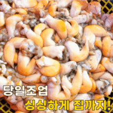 국내산 노랑새조개 손질 횟감용 500g 제철, 단품