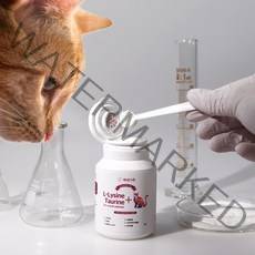 백세가족 고양이 필수 면역 영양제 엘라이신 타우린 비타민 허피스, Essential L-lysine + Taurine