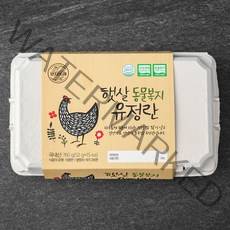 양지뜨레 무항생제 인증 햇살 동물복지 유정란 15구, 780g, 1개