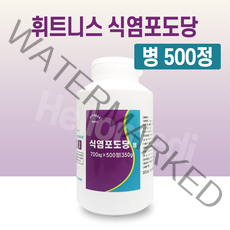 휘트니스 식염포도당 정 500정, 1개