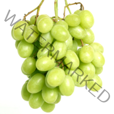 샤인머스켓 청포도 거봉 1kg, 1박스, 11_국산 청포도 1kg