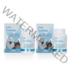 베터 강아지 고양이 영양제, 루테인 영양제 90g (눈건강), 2개입
