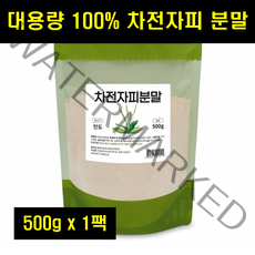 차전자피 가루 분말 차전차피 자전차피 자전자피 1팩 차전자씨 질경이 질경이씨앗껍질 차전자 분말 1팩