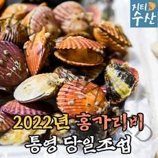 산지직송 국산 통영 제철 생물 홍가리비 세척 가리비 1kg 2kg 3kg 4kg 5kg 구이용 조개구이 캠핑 선물 집에서, 홍가리비 2kg
