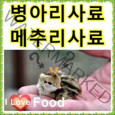 병아리사료 1kg 소포장 병아리밥 초이 오리 메추리 조류 소량판매, 1번 명품기능성초이사료2kg