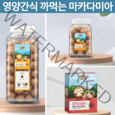 이시영 호주산 마카디아 까먹는 생 코스트코 마카다미아 s 통마카다미아 완태 싼즈송슈 너트패밀리 간단 인쉘 술안주 운동후 코스트코 다이어트 간식 견과류 구정 추석 선물 세트, 마카다미아S 250g