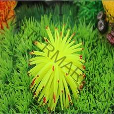 애플스네일 개구리밥 플래티 음성 인공 수초빛나는 해파리 빨판 산호 수족관 산호 식물, 노란색