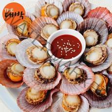 최상급 통영 홍가리비 당일발송, 5kg