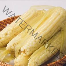 농가정보서비스 [구천동 농협] 무주 대학 찰옥수수, 15개