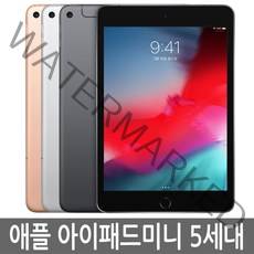 아이패드 미니 5세대 64GB 64기가 WiFi/LTE 셀룰러, LTE