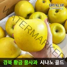 이츠올릿 경북 시나노 골드 황금 꿀사과 5kg (가정용 중소과 19-21과) 노란 스위트 사과 청송 밀양 얼음골