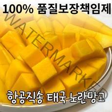 [항공직송] 태국 프리미엄 노란망고 애플망고, 노란망고 1.2kg 3~4과