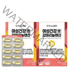 프롬바이오 한효주의 여성건강엔 감마리놀렌산 보라지오일, 48g, 2박스, 60캡슐