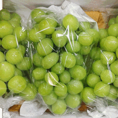 황금열매 고급 망고포도 샤인머스켓 씨없는 청포도 2KG 3-5수, 샤인머스켓 2kg (2-3수)