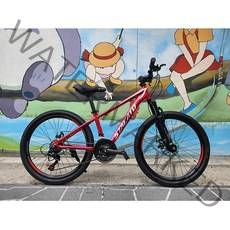 2022 스타카토 레이븐 24인치 어린이 자전거 STACATO, 레드, 반조립배송(직접조립)