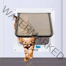 딩동펫 반려동물 펫도어, 화이트