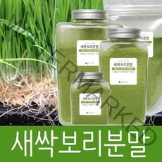 바른건강 제주산 영양덩어리 국산 보리새싹가루 새싹보리분말 보리순100% 국내산(제주), 100g, 1개