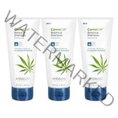 Andalou 안달로우 보타니컬 샴푸 251ml 3팩 카모마일 플라워파워