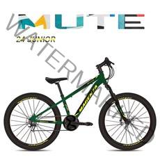 (완조립) 마젠타 24HD 알루미늄 주니어 MTB 유압 지오닉스 2021, 프리즘 그린