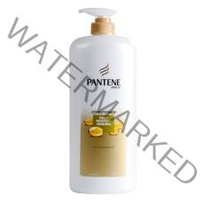 팬틴 데일리 모이스처 리뉴얼 컨디셔너, 1200ml, 1개