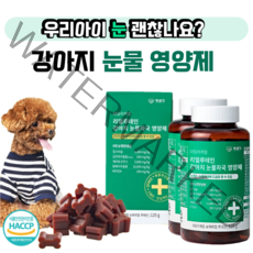 강아지 루테인 눈물 자국 영양제 펫생각 데이터케얼 리얼 반려견 루테인, 반려견 눈 영양제 2개