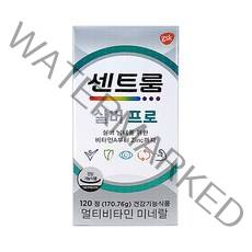 센트룸 실버 프로 120정, 1개입